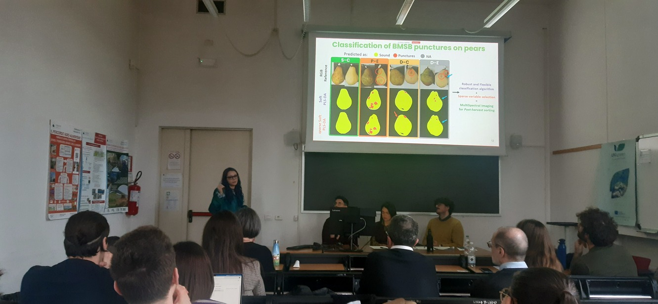 Workshop_Steba_2025_4