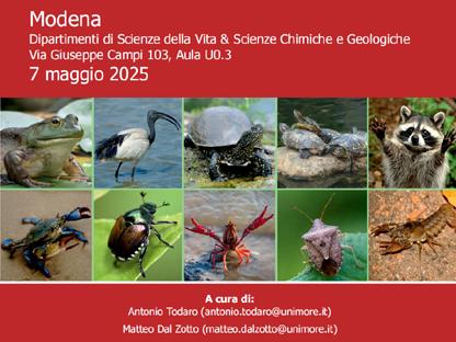 AnimaliAlieni