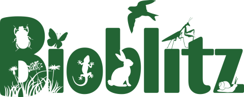 BioBlitz Logo