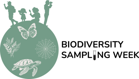 Logo BSW