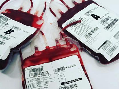 human hematopoiesis