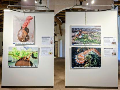 Mostra Fotografica Biodiversità