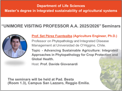 Seminari Prof Perez (2026)