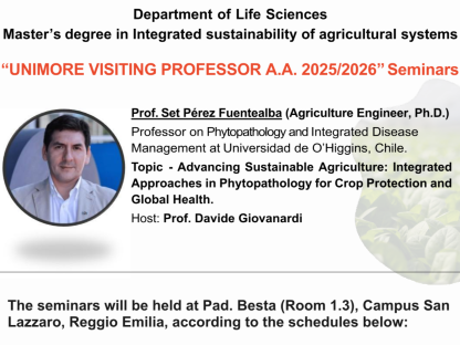 Seminari Prof Perez (2026)