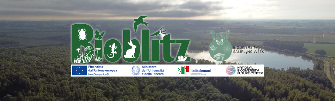 Bioblitz Nonantola